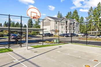 Basketball court
